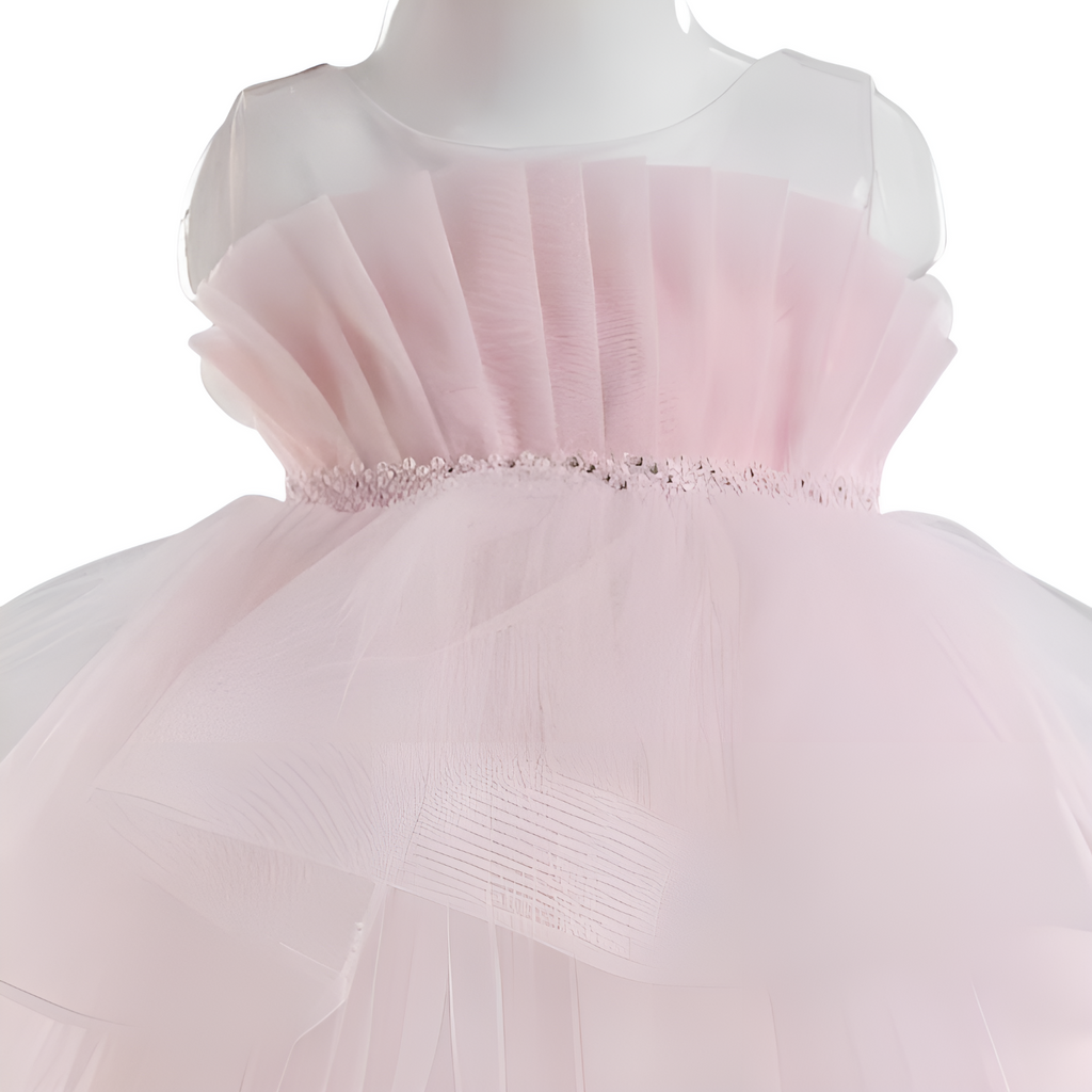 Blossom Baby Girls' Formal Dress