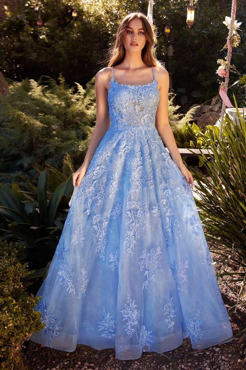 Embroidered Tulle Ball Gown