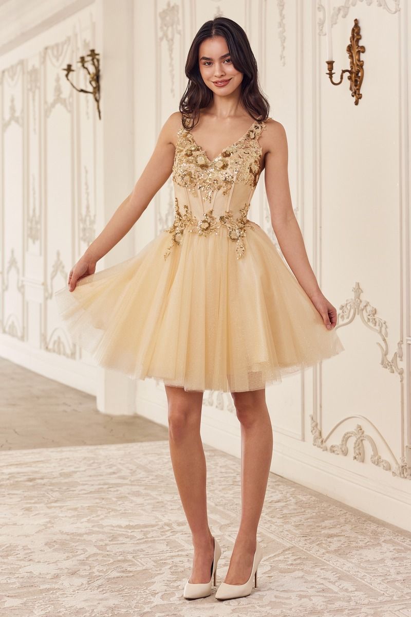 Sequin Tulle A-Line Dress